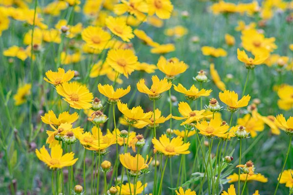 Quali sono le best practice per il lancio di una linea di cosmetici bio online?